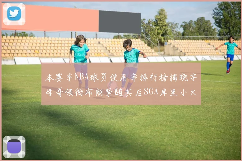 本赛季NBA球员使用率排行榜揭晓字母哥领衔布朗紧随其后SGA库里小火车紧追不舍