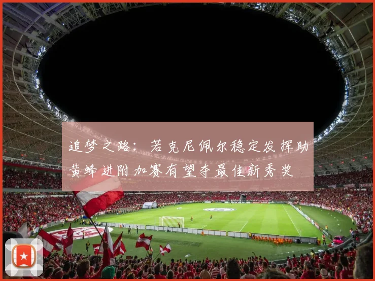 追梦之路：若克尼佩尔稳定发挥助黄蜂进附加赛有望夺最佳新秀奖