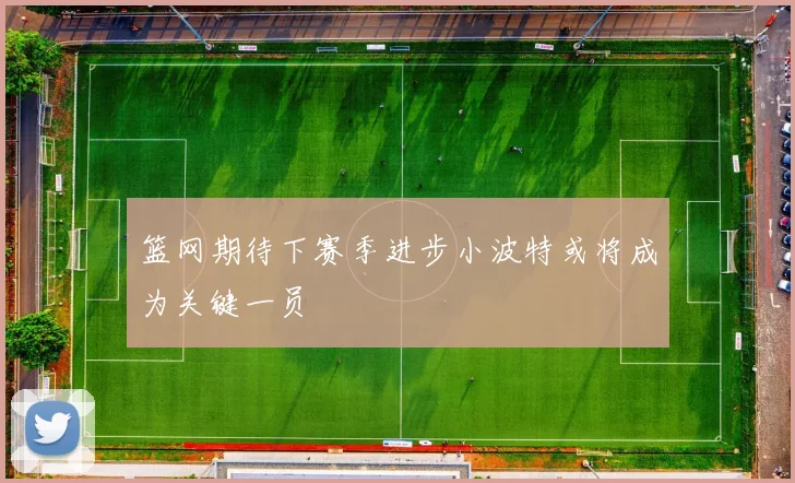 篮网期待下赛季进步小波特或将成为关键一员