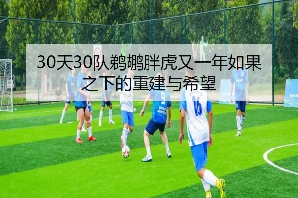 30天30队鹈鹕胖虎又一年如果之下的重建与希望 - xingkong